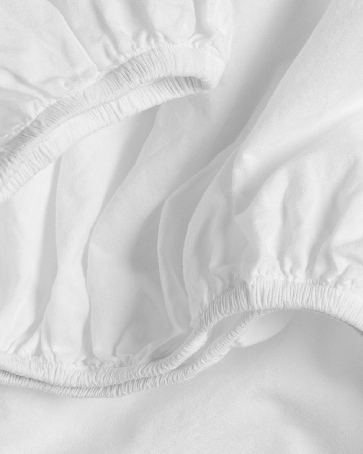 ARIA 100  COTTON FITTED SHEET - Single